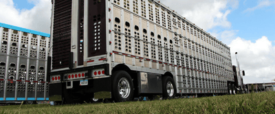 Spending Bill Extends ELD Waiver For Livestock Haulers to Sept. 30