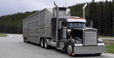 Exemption Through September Continues for Livestock & Insect Haulers