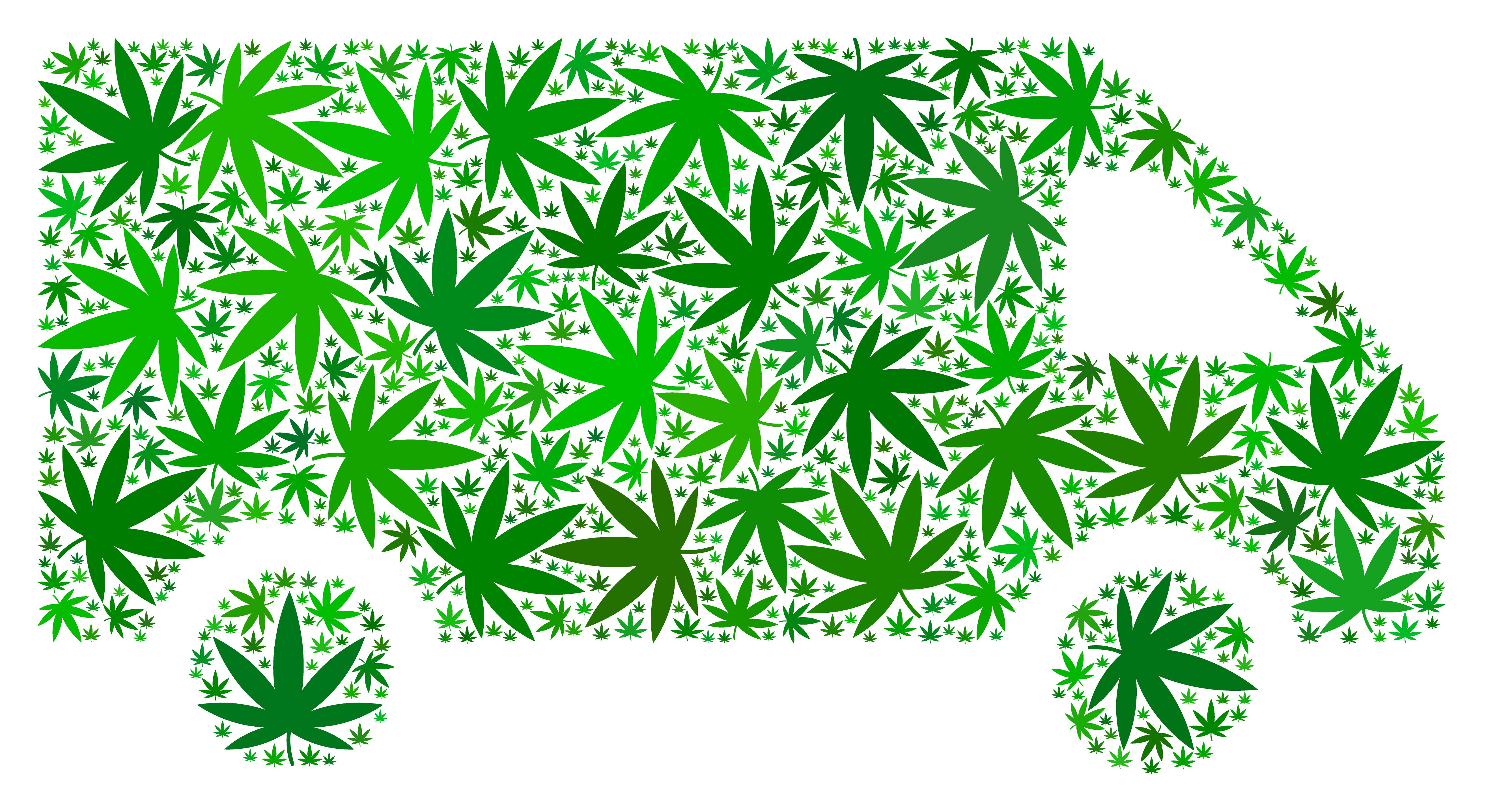 Van of Marijuana Leaves