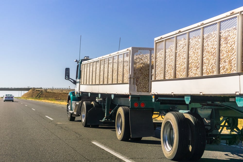 produce season food logistics cargobot